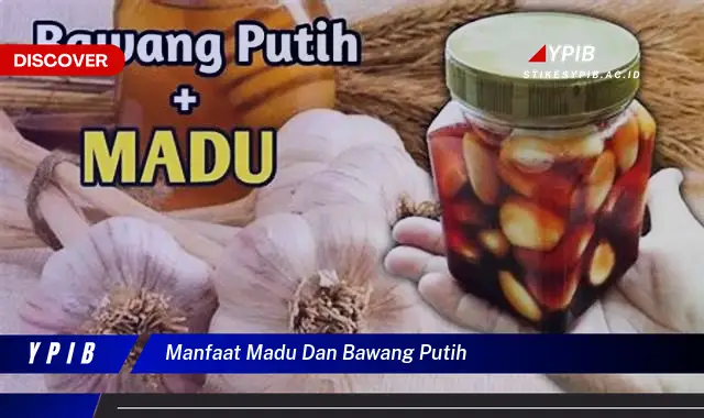manfaat madu dan bawang putih manfaat madu dan bawang putih