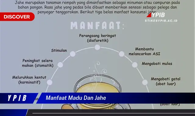 manfaat madu dan jahe