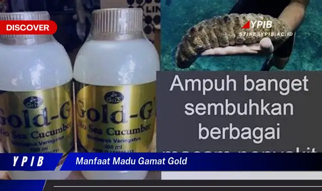 manfaat madu gamat gold