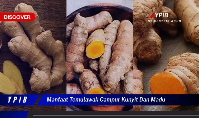 manfaat temulawak campur kunyit dan madu