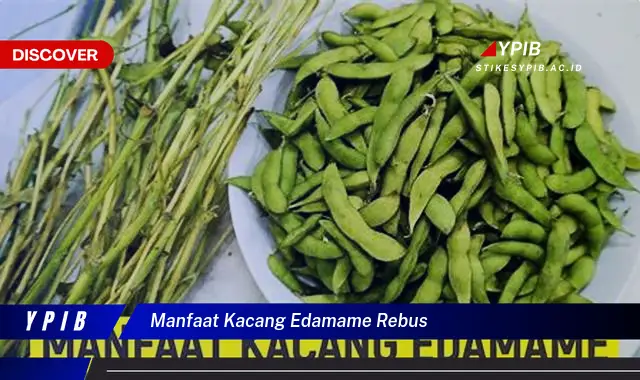 manfaat kacang edamame rebus