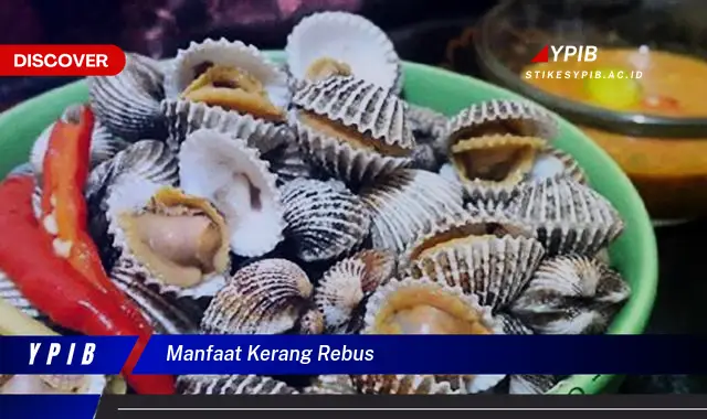 manfaat kerang rebus