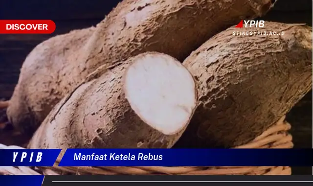 manfaat ketela rebus