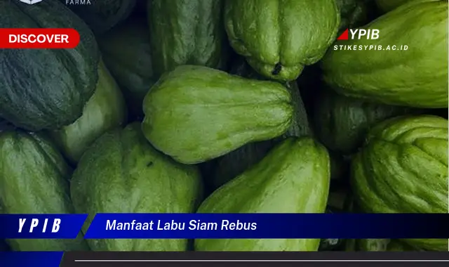 manfaat labu siam rebus