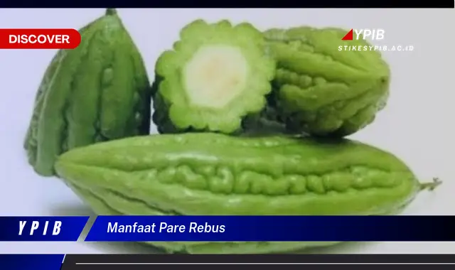 manfaat pare rebus