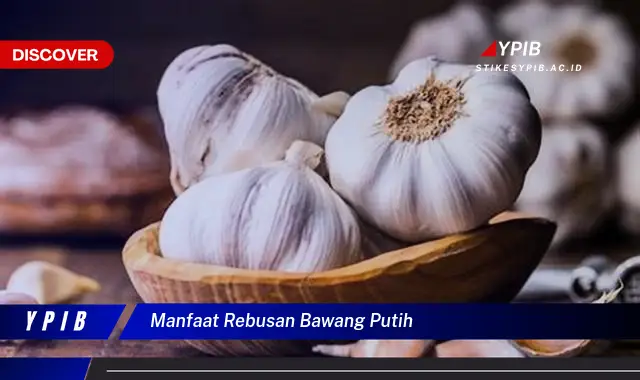 manfaat rebusan bawang putih