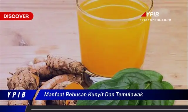 manfaat rebusan kunyit dan temulawak