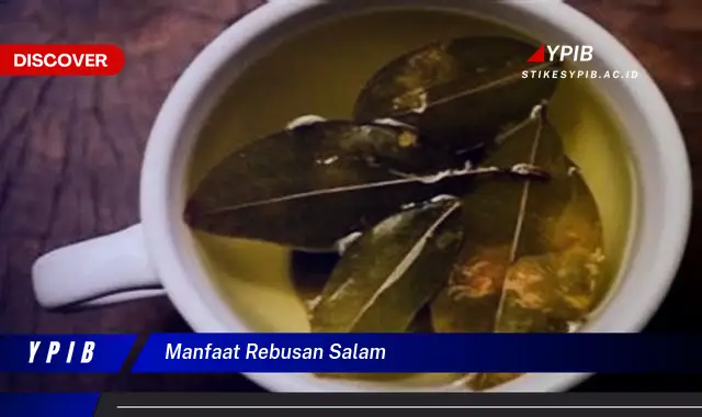 Ketahui 7 Manfaat Rebusan Daun Salam yang Jarang Diketahui