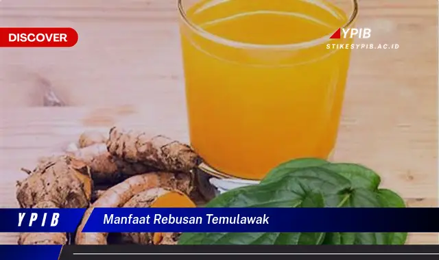 manfaat rebusan temulawak