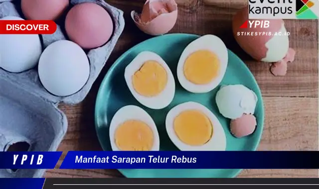 manfaat sarapan telur rebus