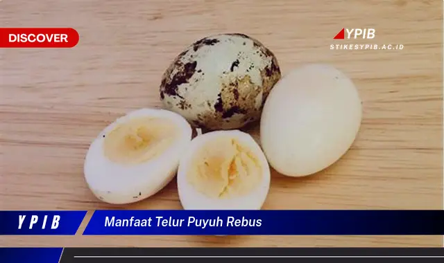 manfaat telur puyuh rebus