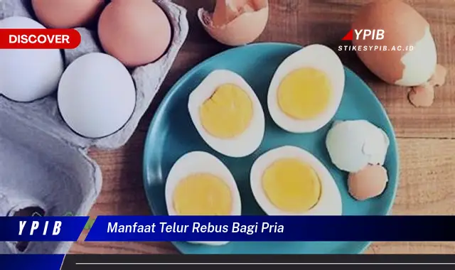 manfaat telur rebus bagi pria