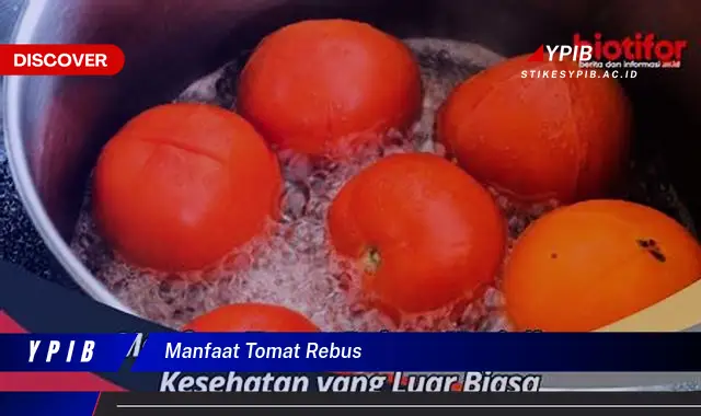 manfaat tomat rebus