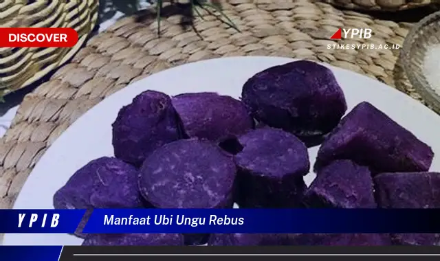 manfaat ubi ungu rebus manfaat ubi ungu rebus