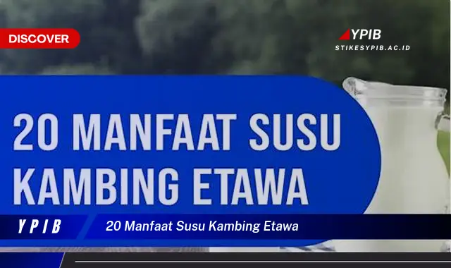 20 manfaat susu kambing etawa