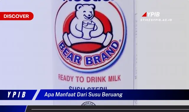 apa manfaat dari susu beruang