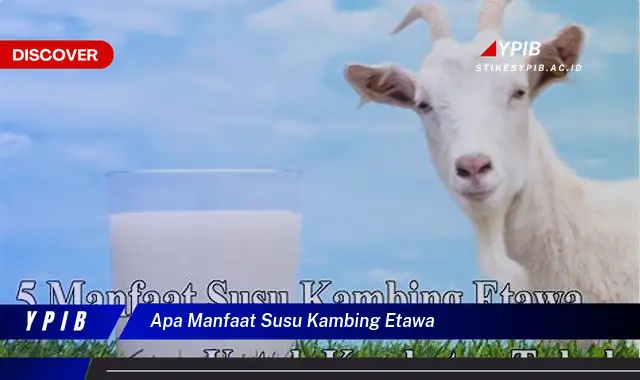 apa manfaat susu kambing etawa