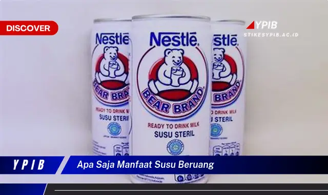 apa saja manfaat susu beruang