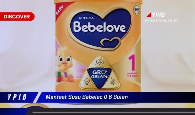 manfaat susu bebelac 0 6 bulan