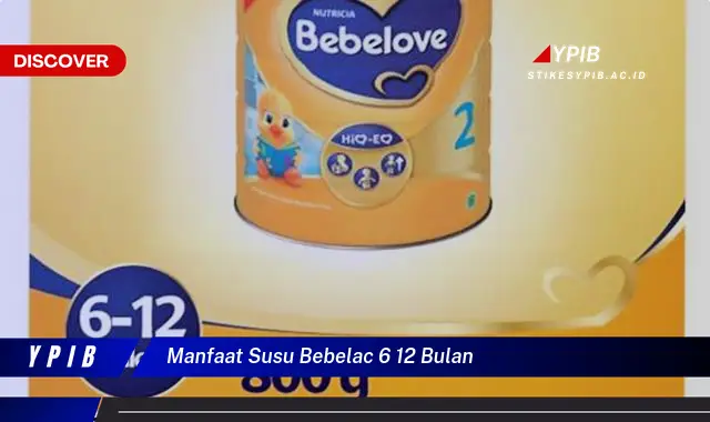 manfaat susu bebelac 6 12 bulan