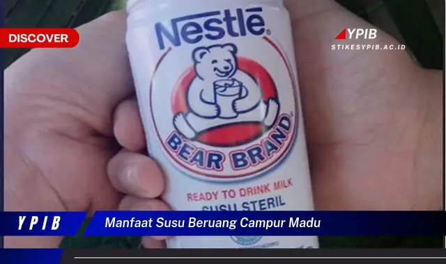 manfaat susu beruang campur madu