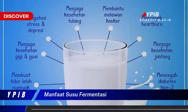 manfaat susu fermentasi