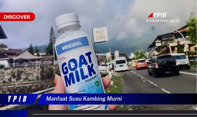 manfaat susu kambing murni