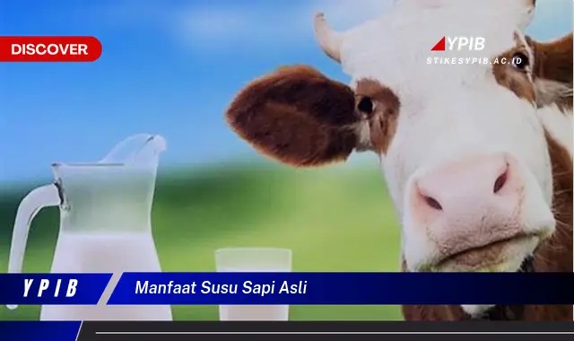 manfaat susu sapi asli