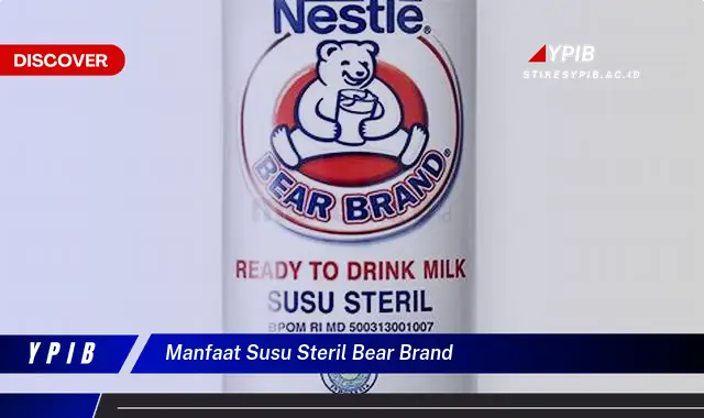 manfaat susu steril bear brand