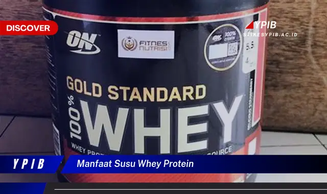 manfaat susu whey protein