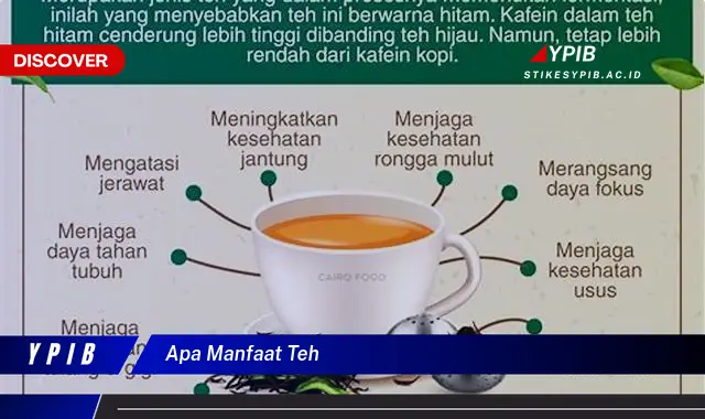 apa manfaat teh apa manfaat teh
