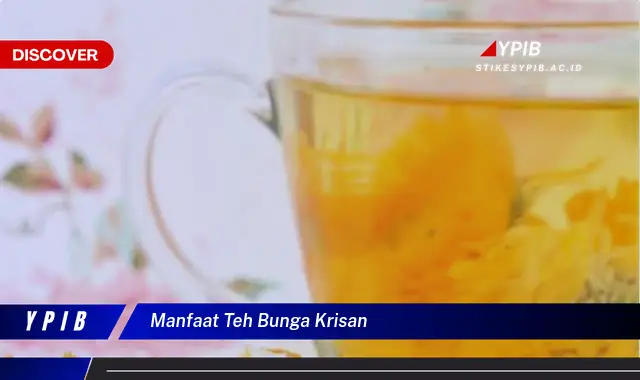 manfaat teh bunga krisan