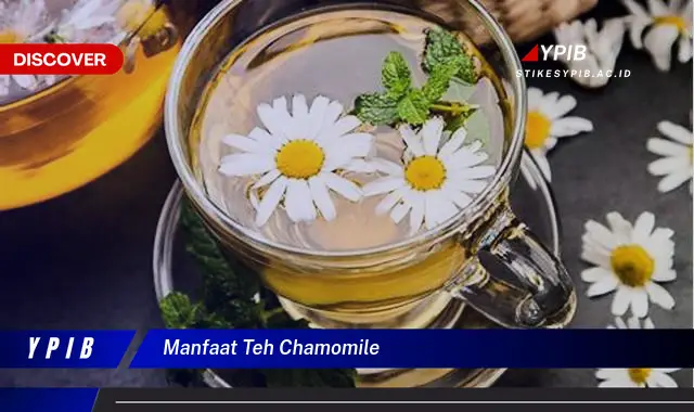 manfaat teh chamomile