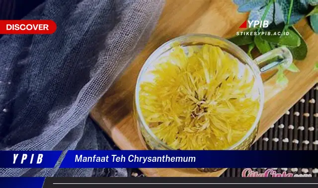 manfaat teh chrysanthemum