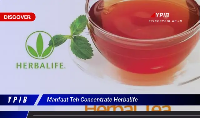 manfaat teh concentrate herbalife