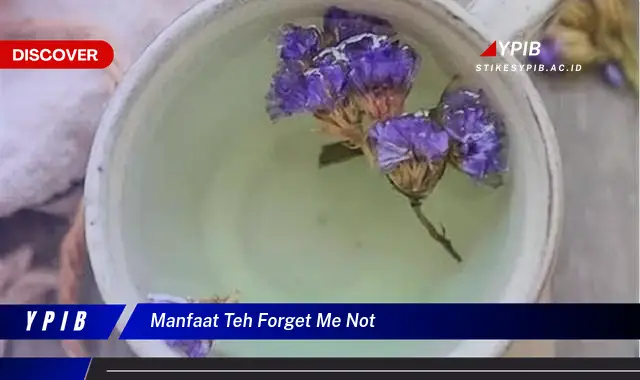 manfaat teh forget me not