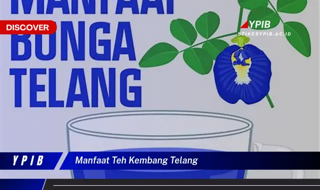 manfaat teh kembang telang