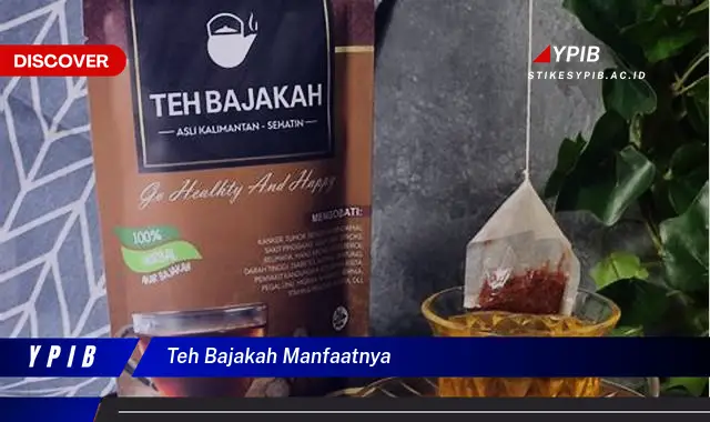 teh bajakah manfaatnya