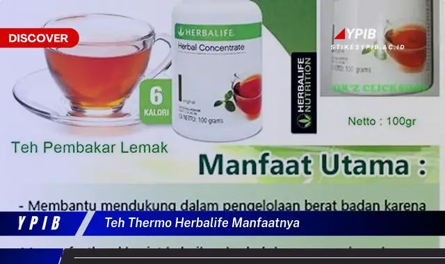 teh thermo herbalife manfaatnya