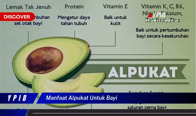 manfaat alpukat untuk bayi