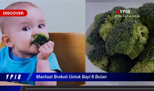 manfaat brokoli untuk bayi 6 bulan