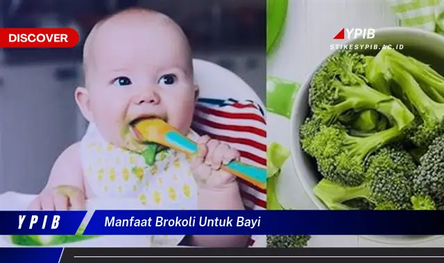 manfaat brokoli untuk bayi