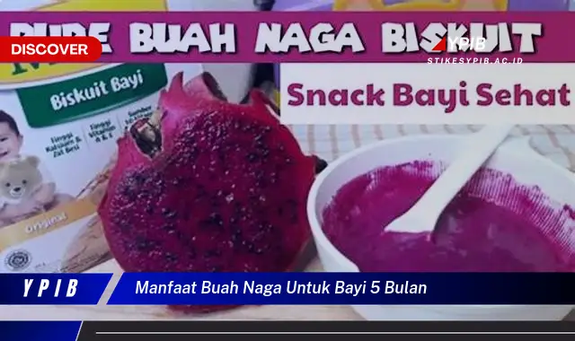 manfaat buah naga untuk bayi 5 bulan