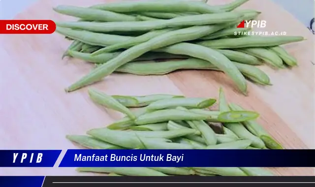 manfaat buncis untuk bayi