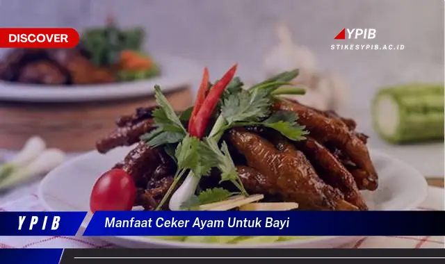 manfaat ceker ayam untuk bayi