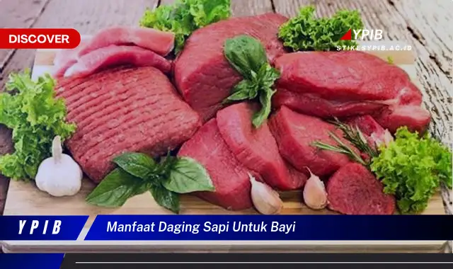 manfaat daging sapi untuk bayi