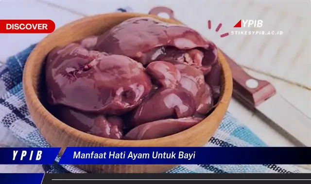 manfaat hati ayam untuk bayi