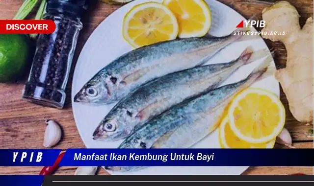 manfaat ikan kembung untuk bayi