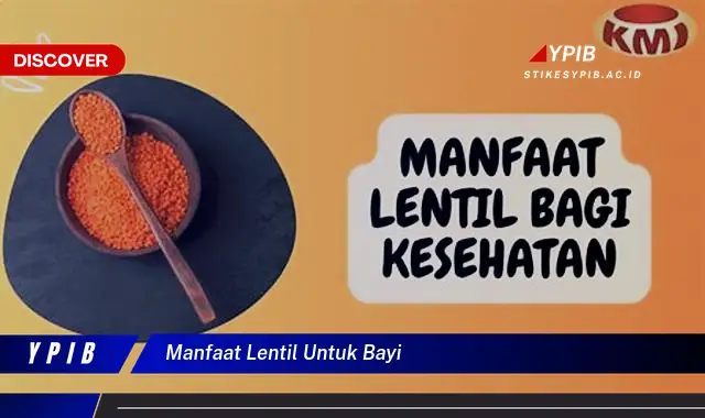 manfaat lentil untuk bayi