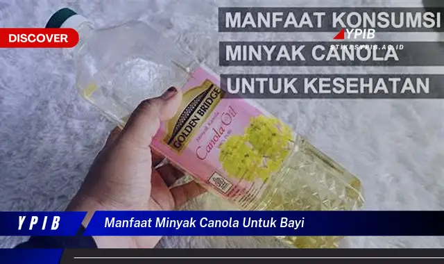 manfaat minyak canola untuk bayi